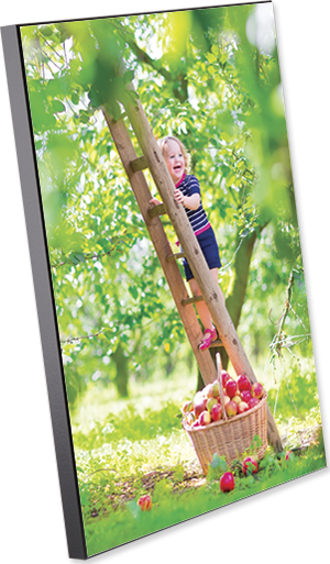 ChromaLuxe MDF 8" x 10" Gloss White Wood Photo Panel with Black Edge, Kickstand, and Keyholes Case of 14