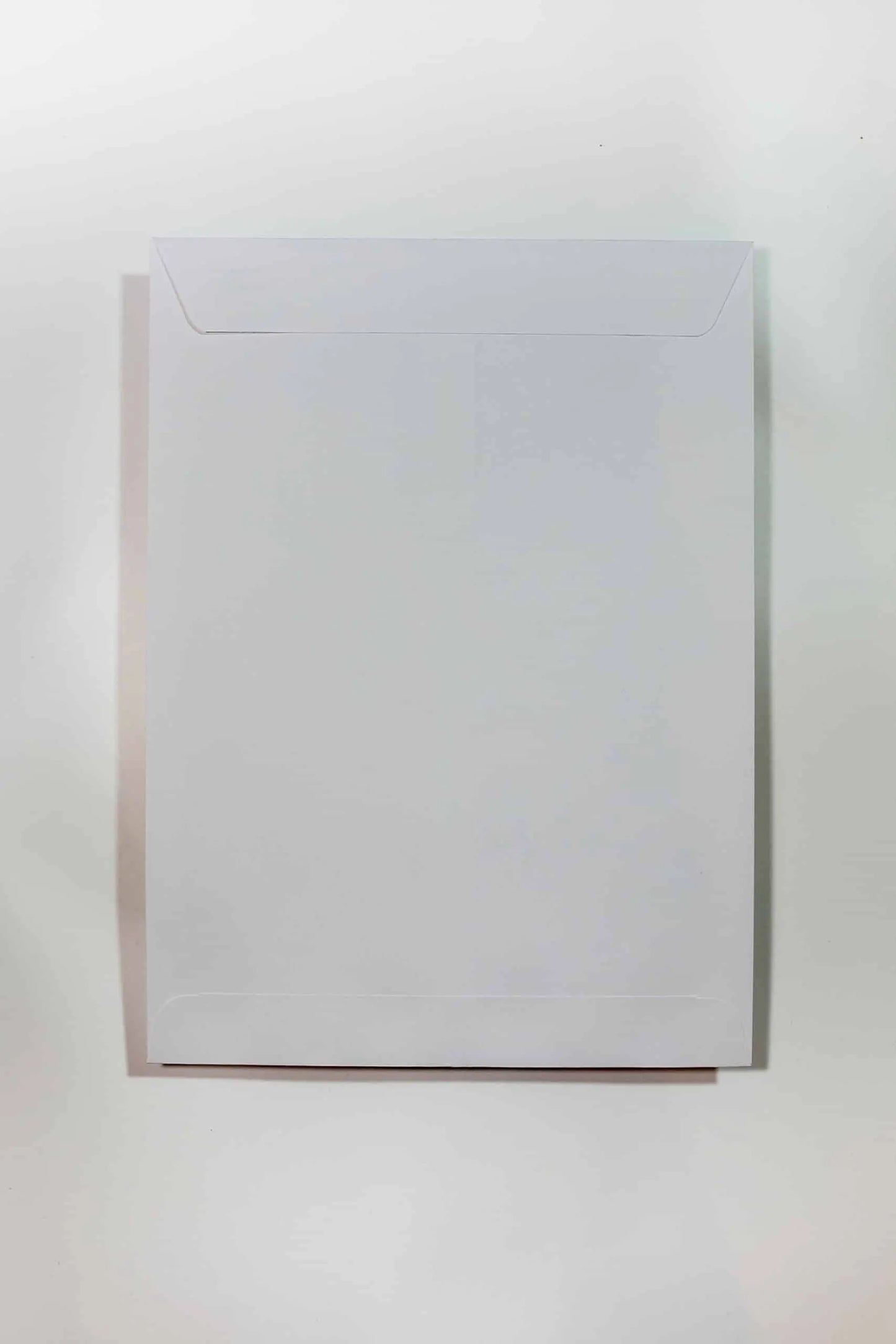 Enlargement Envelope - 9in x 12-1/4in, 500/cs