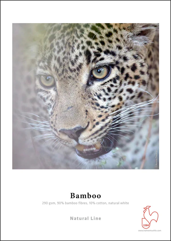 Hahnemuhle Bamboo 290gsm - 8.5" x 11" 25 Sheets