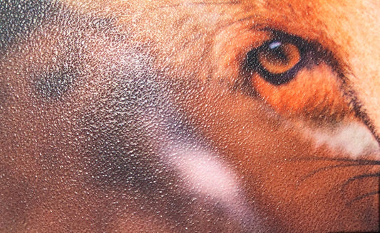 ChromaLuxe 8" x 10" White Textured Aluminum Panel