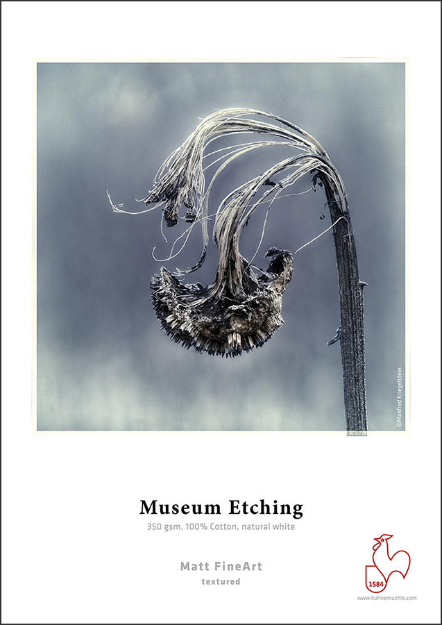 Hahnemuhle Museum Etching 350gsm - 11" x 17" 25 Sheets
