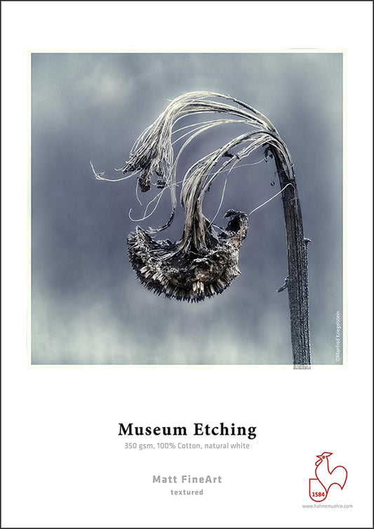 Hahnemuhle Museum Etching 350gsm - 11" x 17" 25 Sheets
