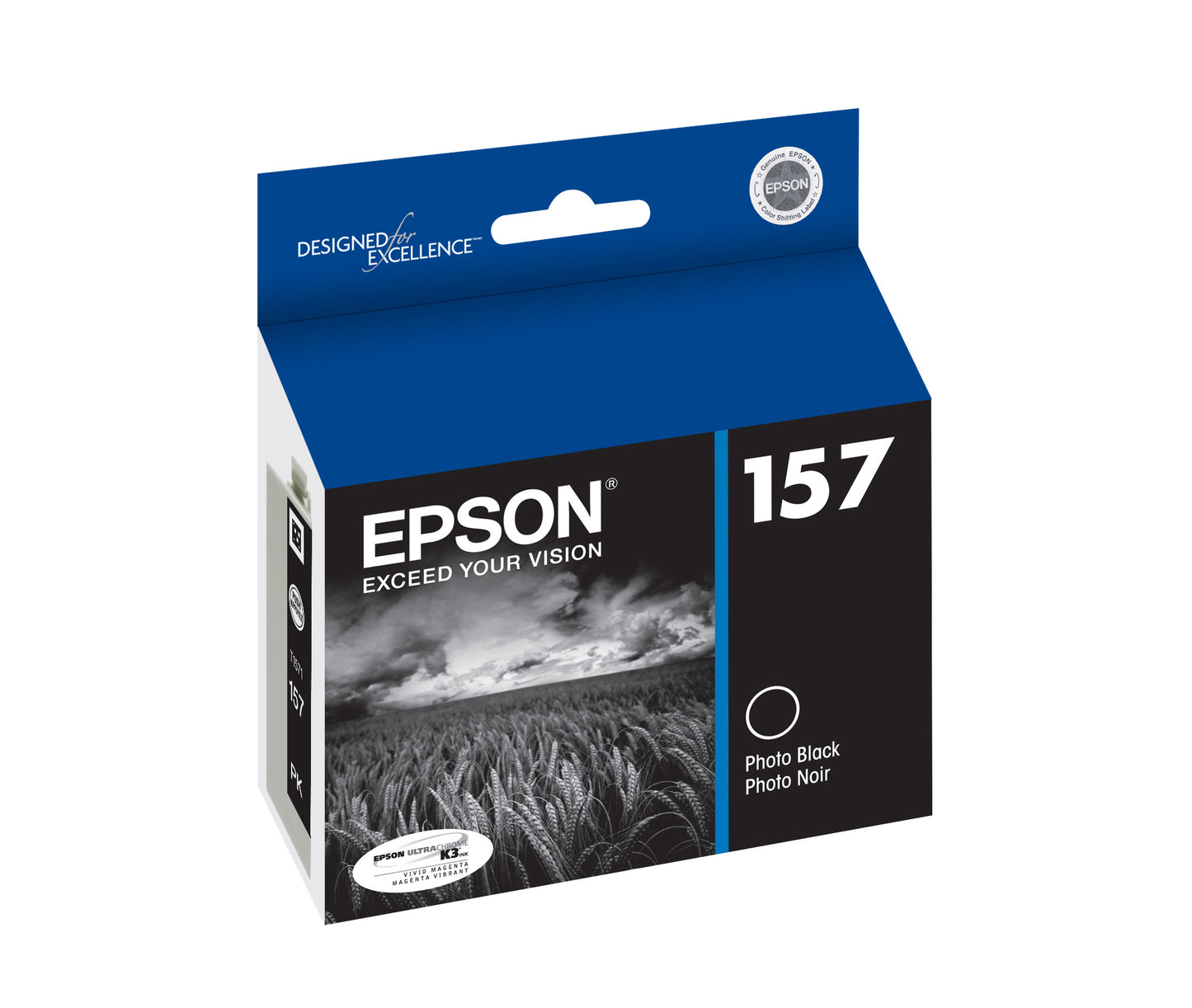 Epson R3000 Photo Black Ink