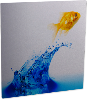 ChromaLuxe 8" x 8" Gloss Clear HD Aluminum Photo Panel Case of 10