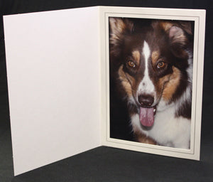 Grey Folder 5x7 - 500/box
