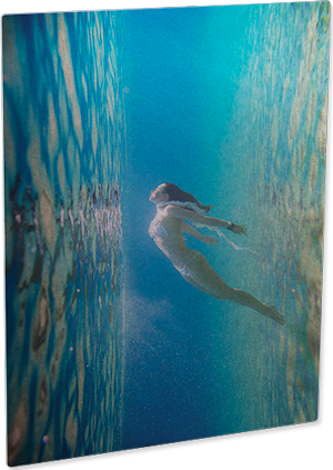 ChromaLuxe 8" x 12" Gloss Clear HD Aluminum Photo Panel Case of 10