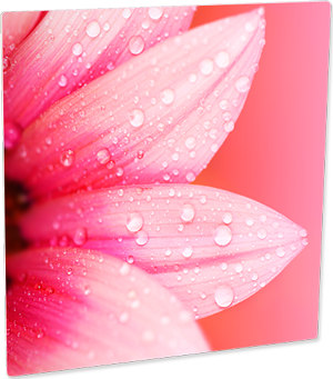 ChromaLuxe 12" x 12" Semi-Gloss White HD Aluminum Photo Panel Case of 10