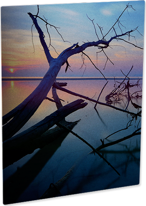 ChromaLuxe 8" x 10" Semi-Gloss Clear HD Aluminum Photo Panel Case of 10