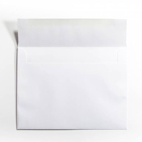 Photo Envelopes, holds 6" x 8" prints