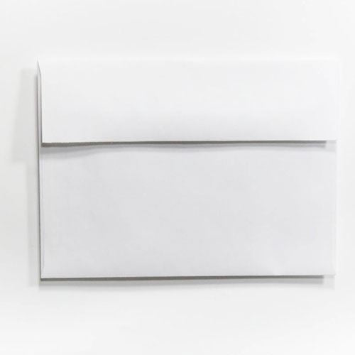 Photo Envelopes - Silver Foil Lined, holds 5" x 7" prints