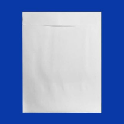 Plain White Envelope with window, 8.75" x 11.125"
