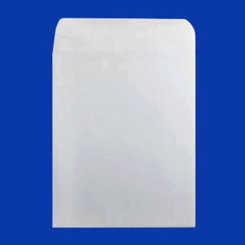Plain White Envelope, 12" x 15.5"