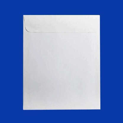 Plain White Envelope, 12" x 15.5"